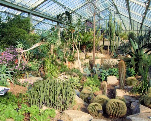 10 самых поразительных садов под крышей