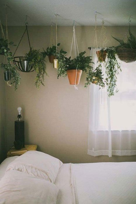 24 идеи для создания мини-сада в домашних условиях