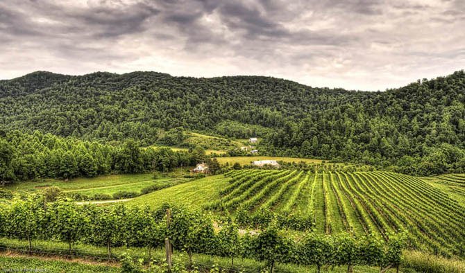 35 самых красивых виноградников мира