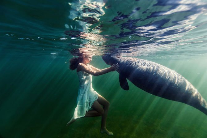 Окенаида: 15 завораживающих подводных фотографий девушки-русалки