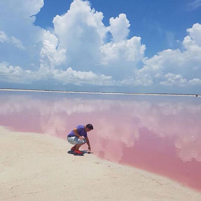 Розовое озеро в Мексике