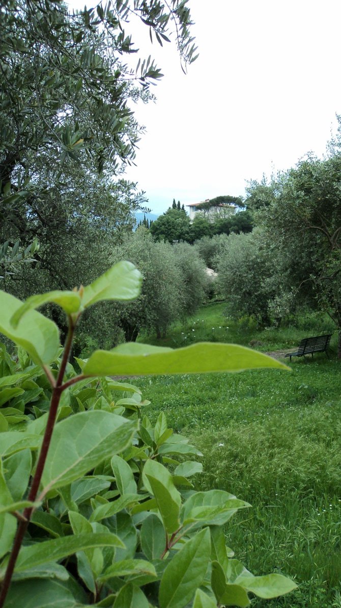 Сад ирисов во Флоренции